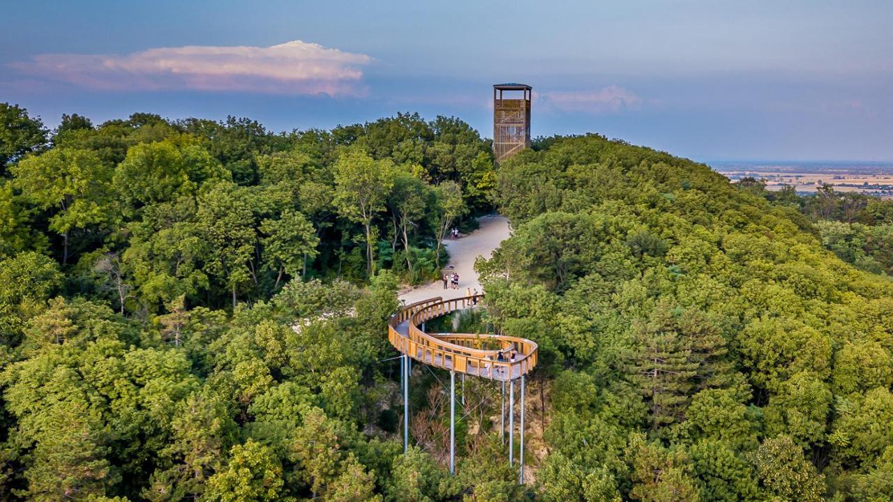 Panorama Birtok - Wellness Panzio, Konferencia Es Rendezvenykoezpont Bed & Breakfast Győrújbarát Екстериор снимка